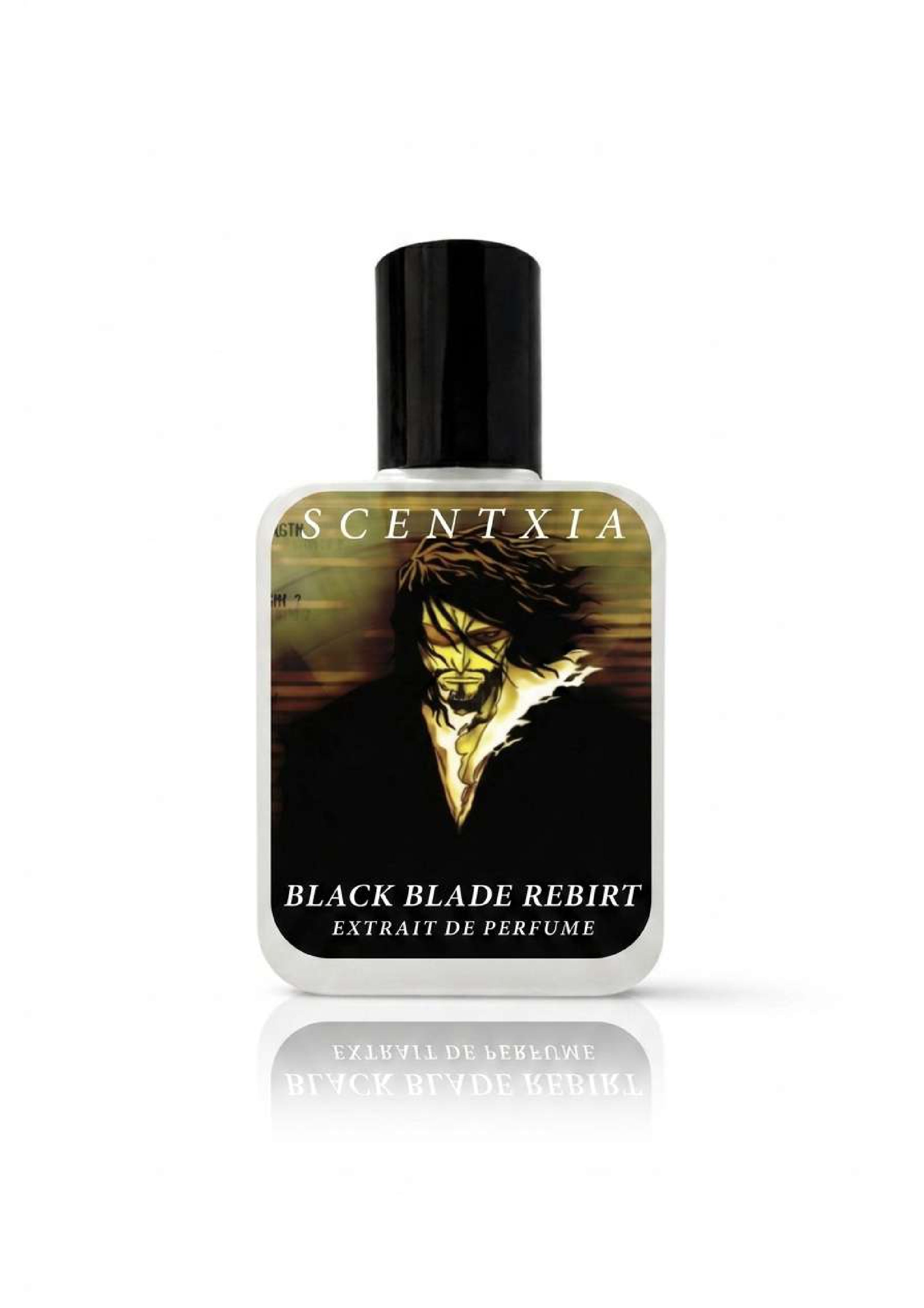 BLACK BLADE REBIRT