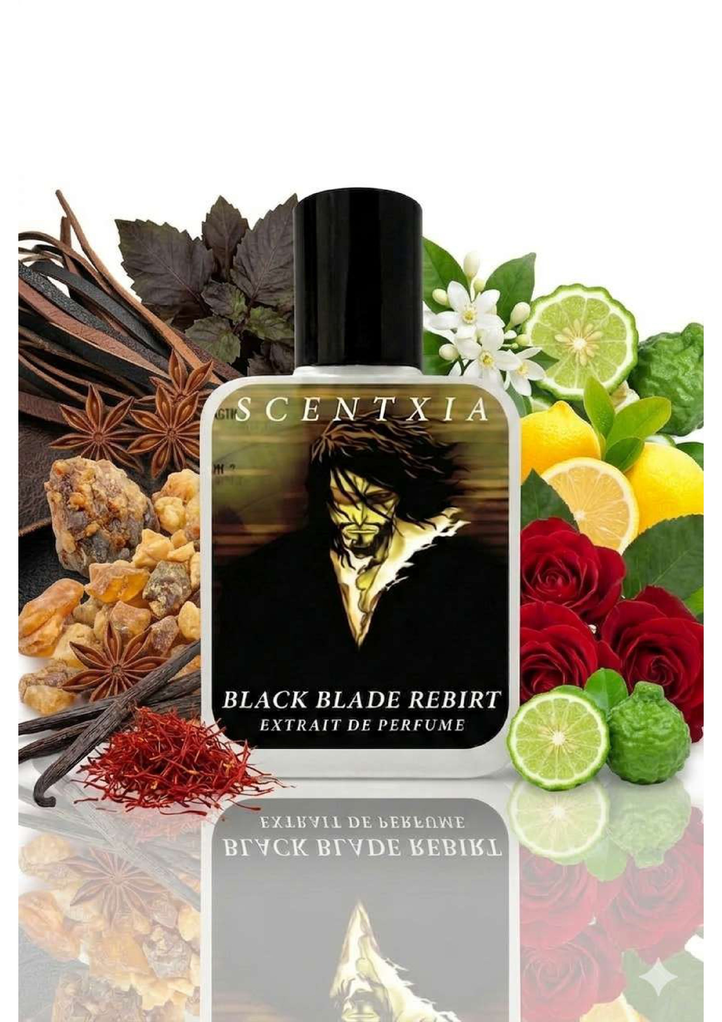 BLACK BLADE REBIRT